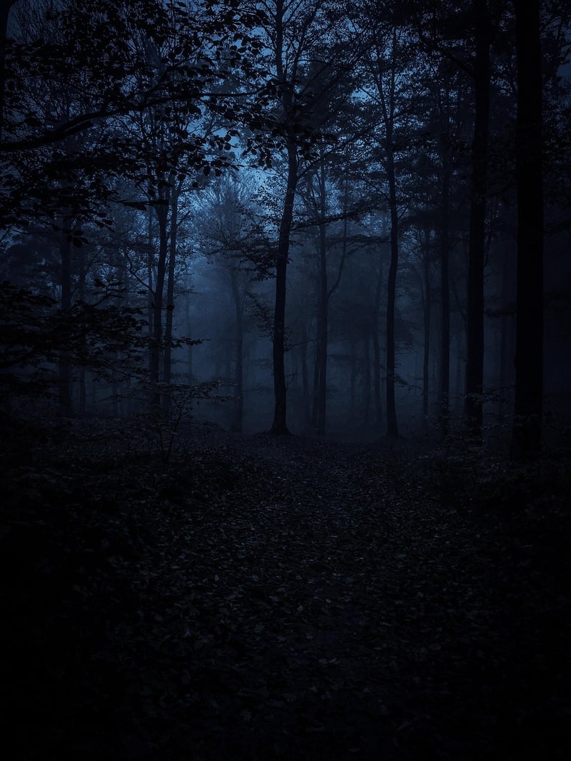 Adventure into the unknown
